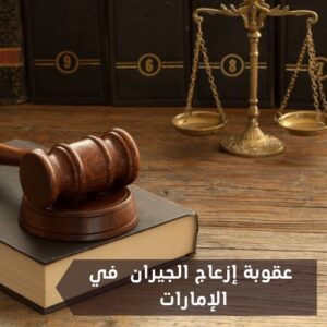 موضوع مفصل حول عقوبة إزعاج الجيران في الإمارات ورقم التبليغ عن إزعاج الجيران