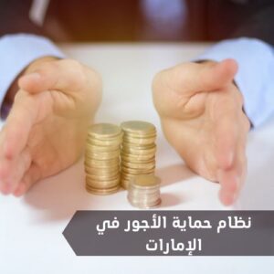موضوع كامل عن نظام حماية الأجور في الإمارات وعقوبة تأخير الأجور في الإمارات